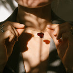 Gintarinis pakabukas "Lietuva"